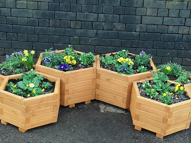 New planters March 2019