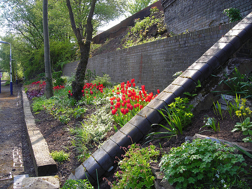 Eccles Station Garden May 2010